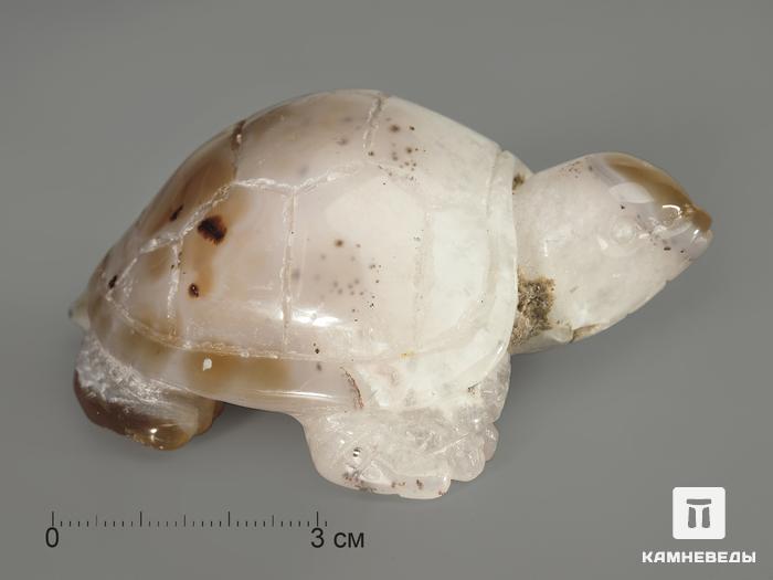 Черепаха из агата, 8,3х6,4х3,8 см, 4996, фото 1