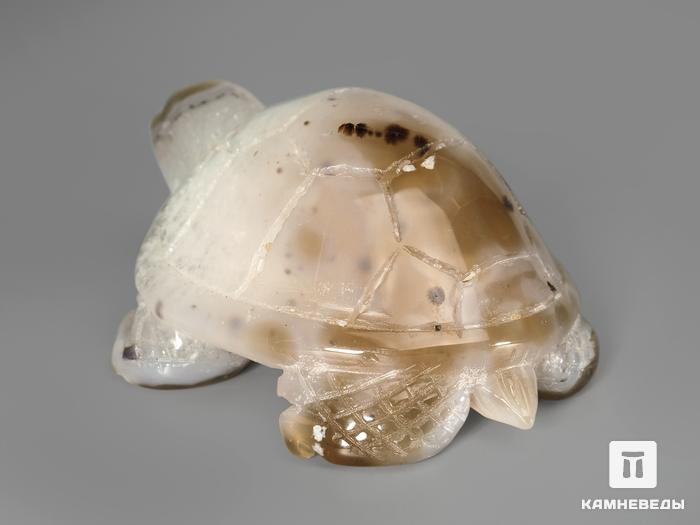 Черепаха из агата, 8,3х6,4х3,8 см, 4996, фото 3