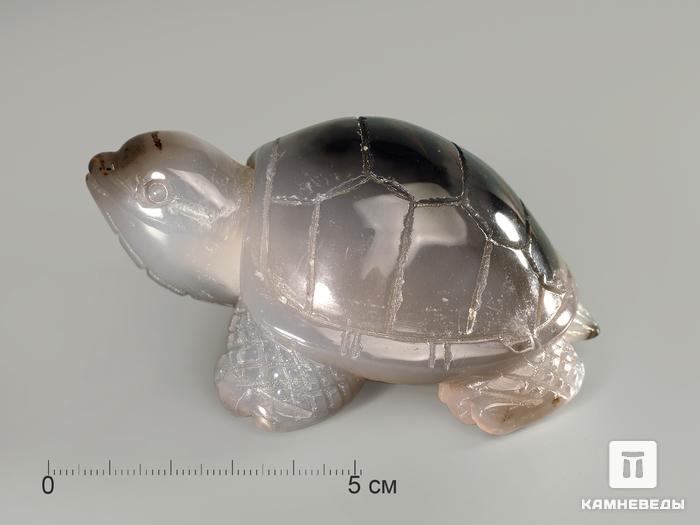 Черепаха из агата, 9х6,3х4,2 см, 4995, фото 2