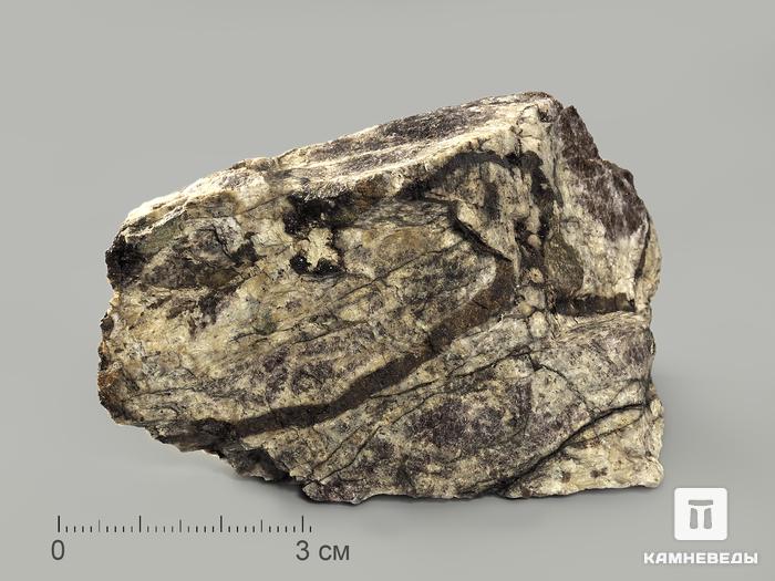 Литвинскит, 7,2х5х4,4 см, 5016, фото 1