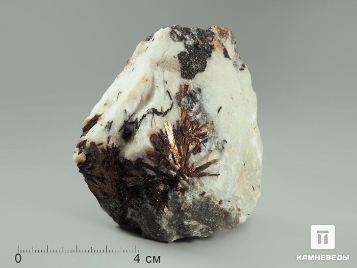 Астрофиллит в альбите, 7,6х6,6х4 см, 5045, фото 2