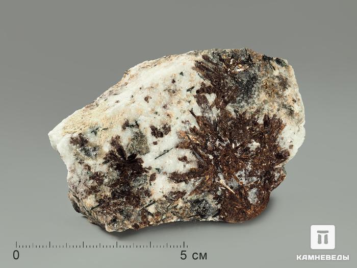 Астрофиллит в альбите, 7,9х5,2х3,3 см, 5050, фото 3