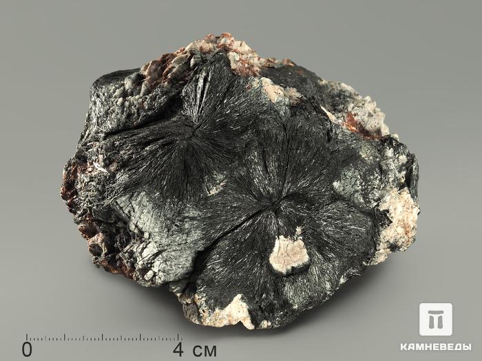 Эгирин с нормандитом и микроклином, 10,5х7,5х6,4 см, 5040, фото 2