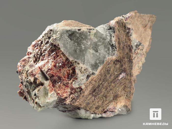 Мурманит с феррокентбрускитом и манганоэвдиалитом, 6,4х4,8х3,4 см, 5035, фото 4