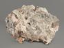 Терскит с манганоэвдиалитом, 9,3х6,6х4,1 см, 5031, фото 4
