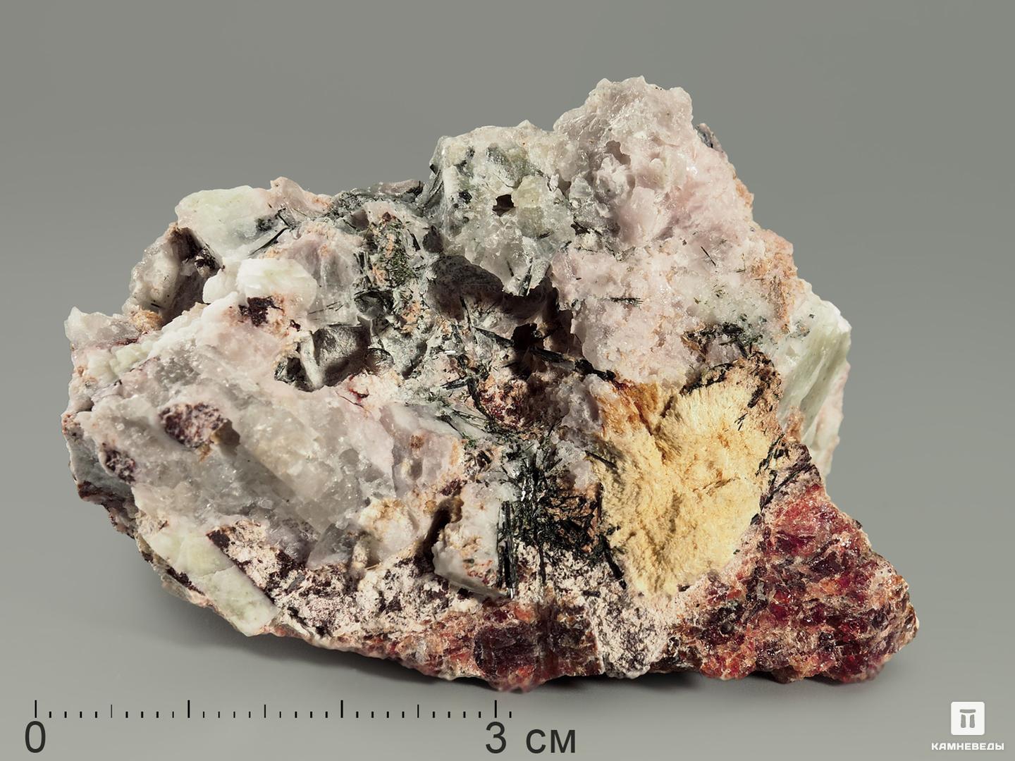 Баритолампрофиллит с манганоэвдиалитом и апатитом, 7,1х4,4х4,3 см