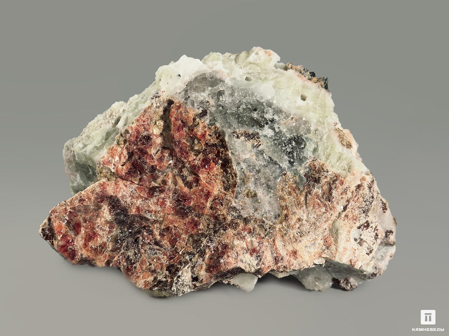 Баритолампрофиллит с манганоэвдиалитом и апатитом, 7,1х4,4х4,3 см, 5033, фото 4