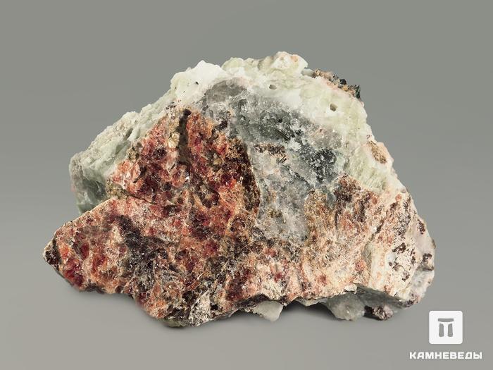 Баритолампрофиллит с манганоэвдиалитом и апатитом, 7,1х4,4х4,3 см, 5033, фото 4