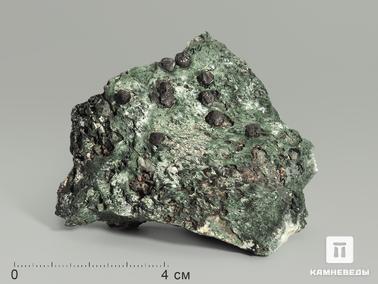 Лопарит-(Ce), Эгирин. Лопарит в эгирине, 7х5,6х2,6 см