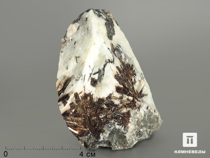 Астрофиллит в альбите, 7,6х6,6х4 см, 5045, фото 1