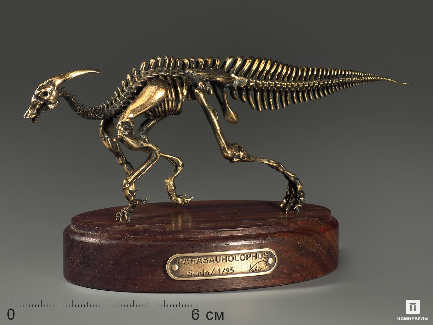 Модель скелета динозавра PARASAUROLOPHUS ахрр ассоциация художников революционной россии