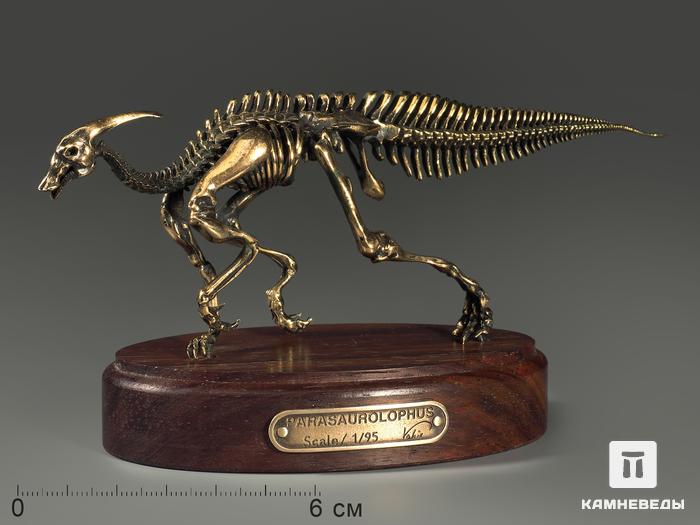 Модель скелета динозавра PARASAUROLOPHUS, 4256, фото 1