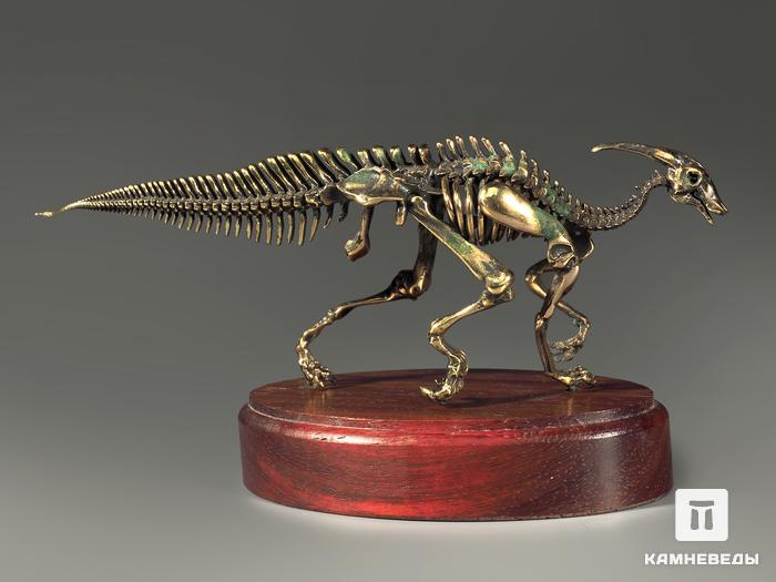 Модель скелета динозавра PARASAUROLOPHUS, 4256, фото 6