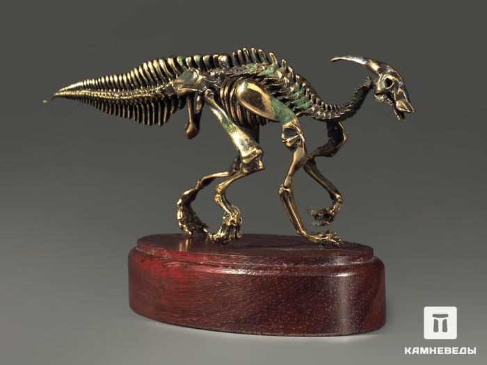 Модель скелета динозавра PARASAUROLOPHUS, 4256, фото 7