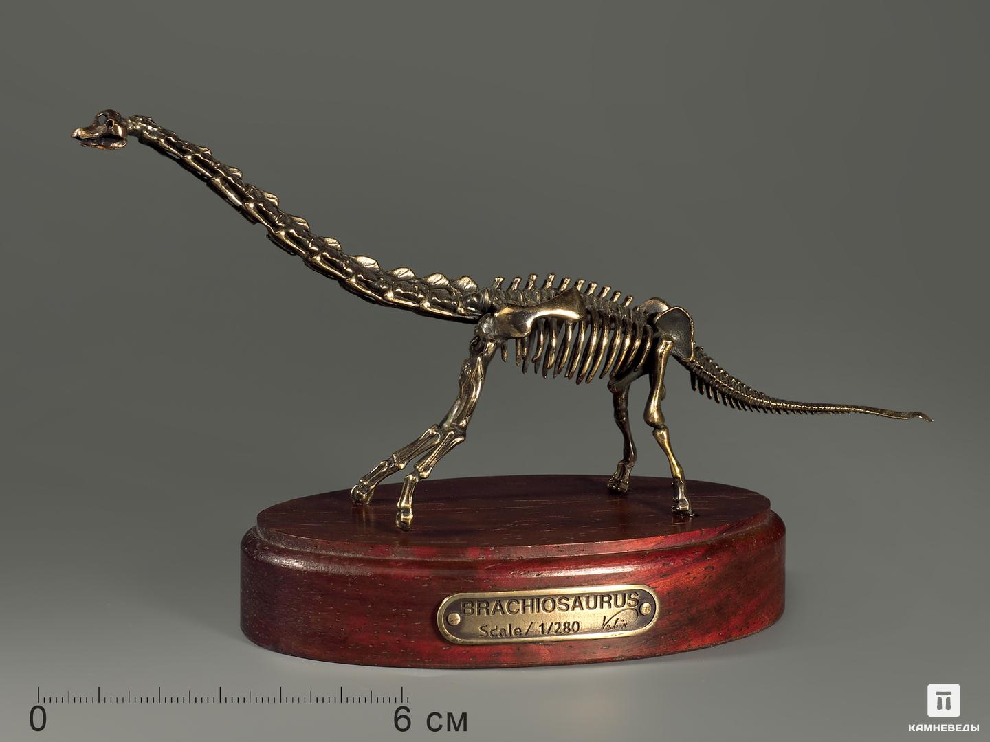 Модель скелета динозавра BRACHIOSAURUS