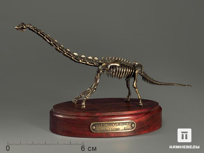Модель скелета динозавра BRACHIOSAURUS, 4243, фото 1