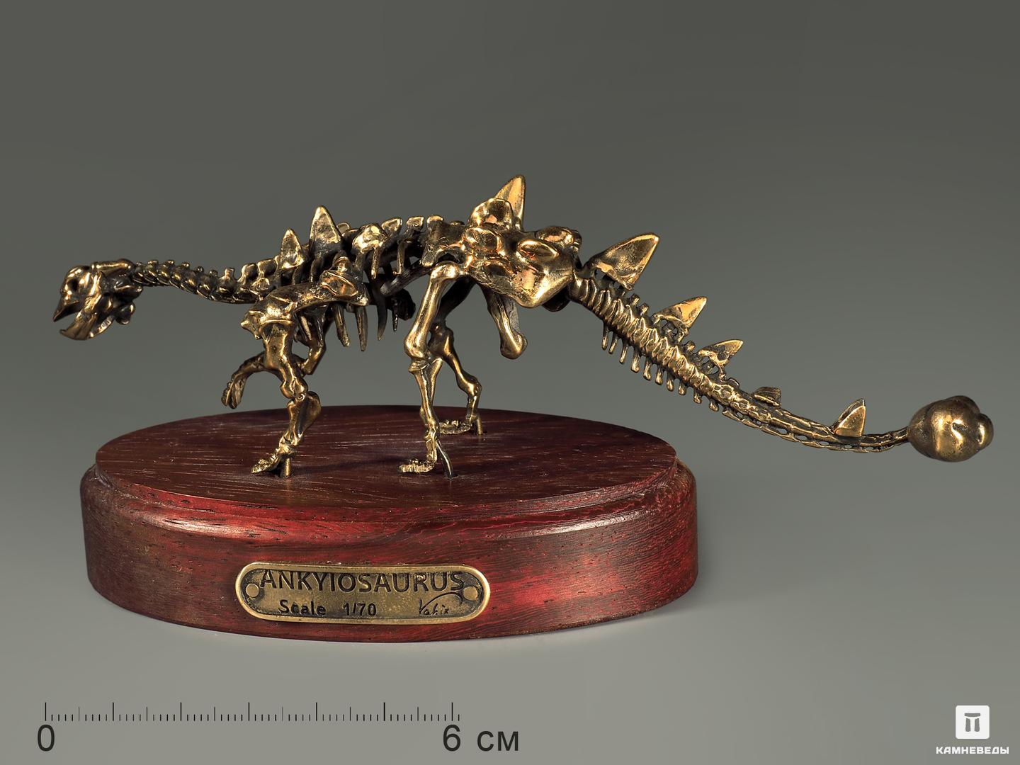 Модель скелета динозавра ANKYIOSAURUS модель скелета динозавра brachiosaurus