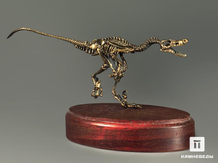 Модель скелета динозавра VELOCIRAPTOR, 5235, фото 4