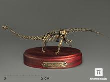 Модель скелета динозавра DIPLODOCUS