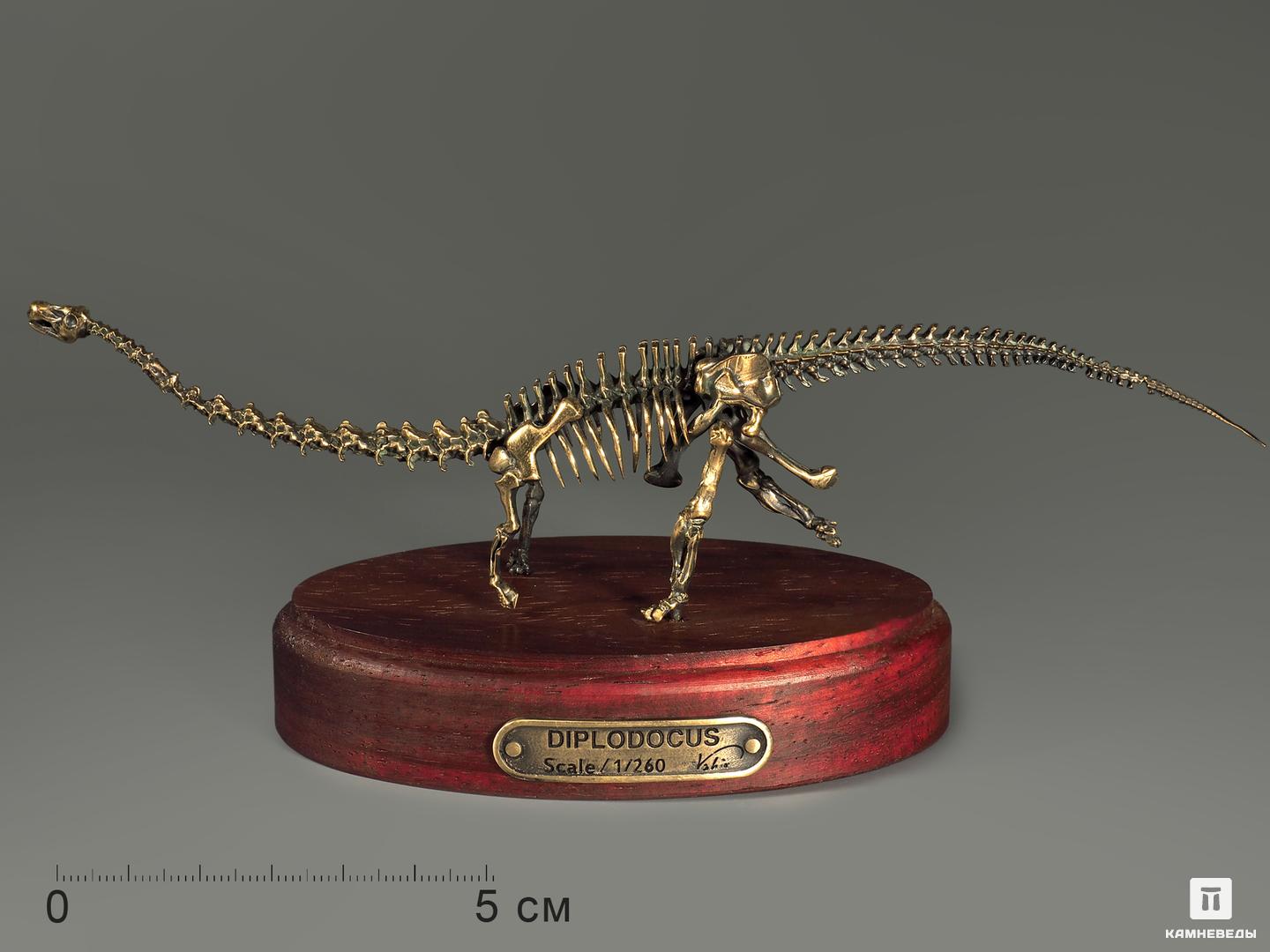 Модель скелета динозавра DIPLODOCUS