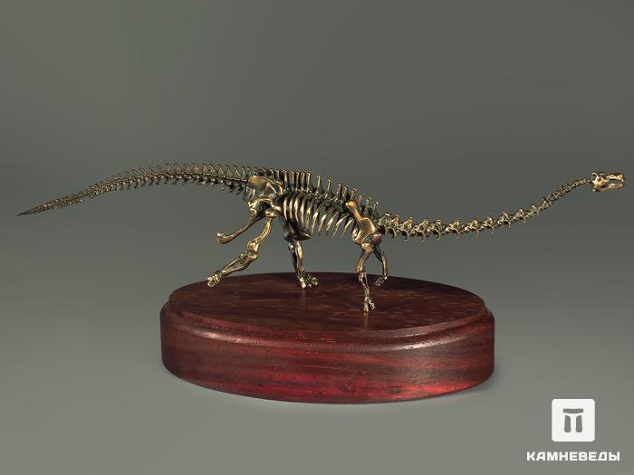Модель скелета динозавра DIPLODOCUS, 5234, фото 2