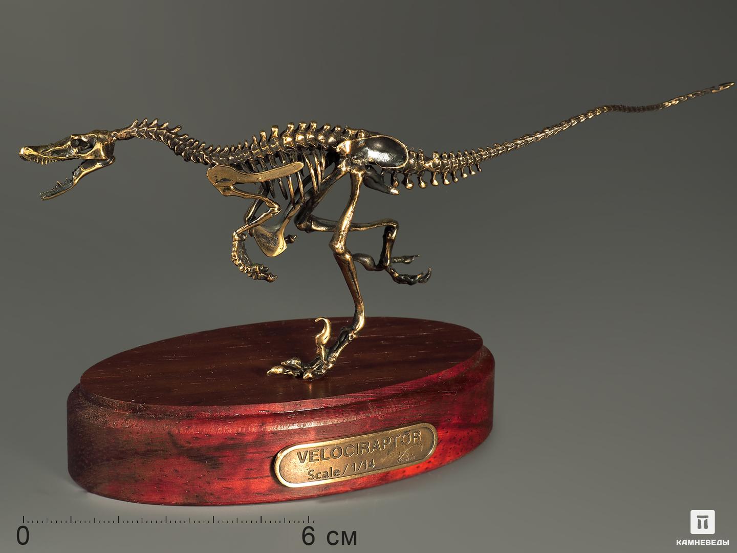 Модель скелета динозавра VELOCIRAPTOR, 5235, фото 1
