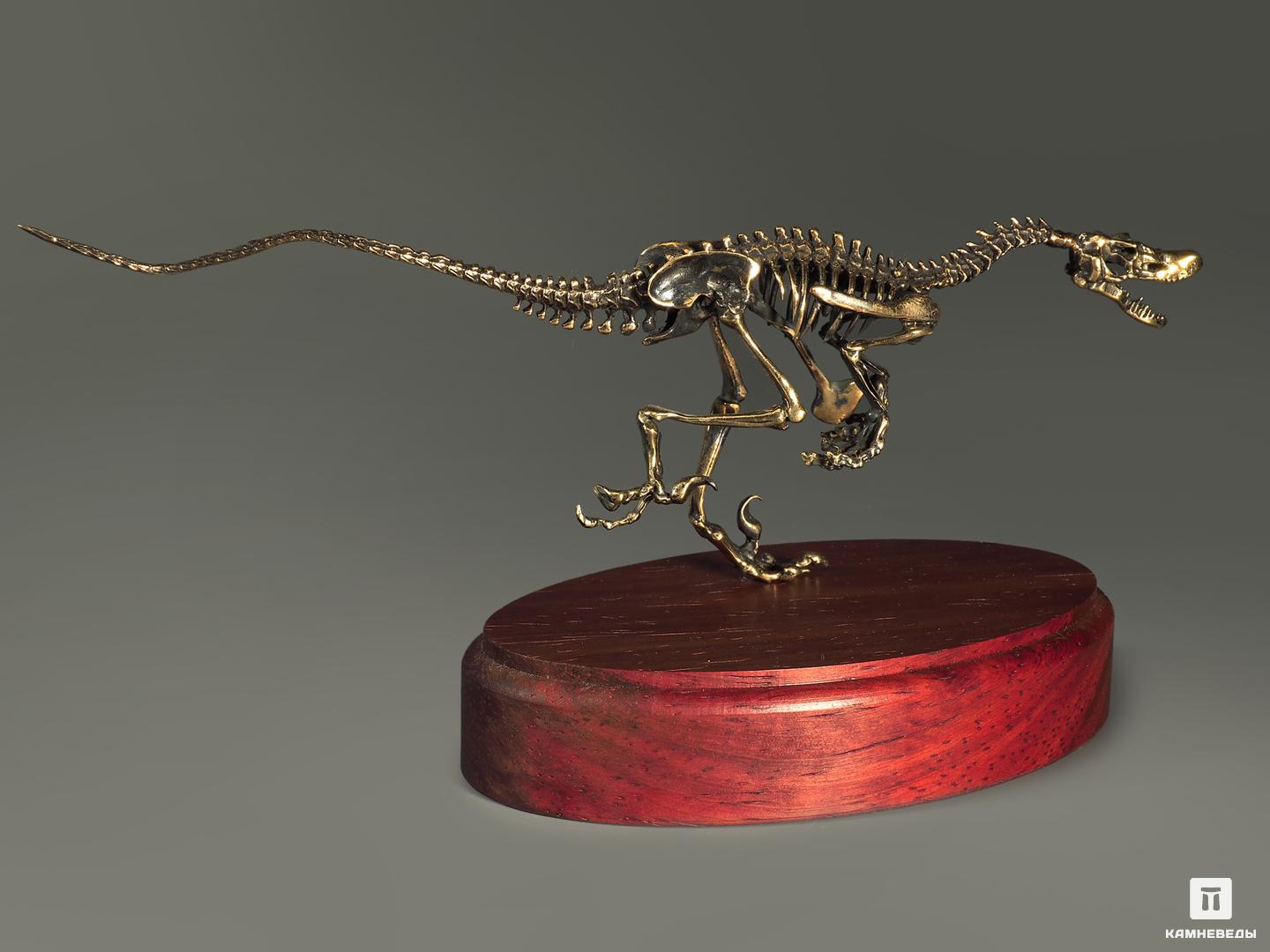 Модель скелета динозавра VELOCIRAPTOR, 5235, фото 6