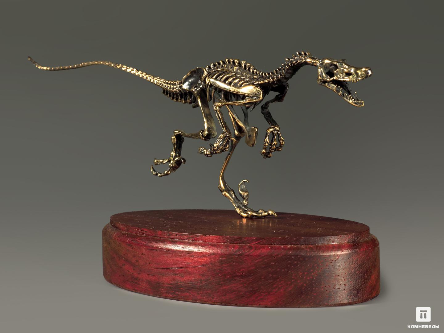 Модель скелета динозавра VELOCIRAPTOR, 5235, фото 7