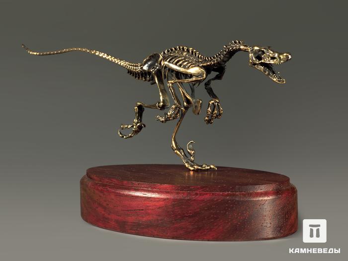 Модель скелета динозавра VELOCIRAPTOR, 5235, фото 7
