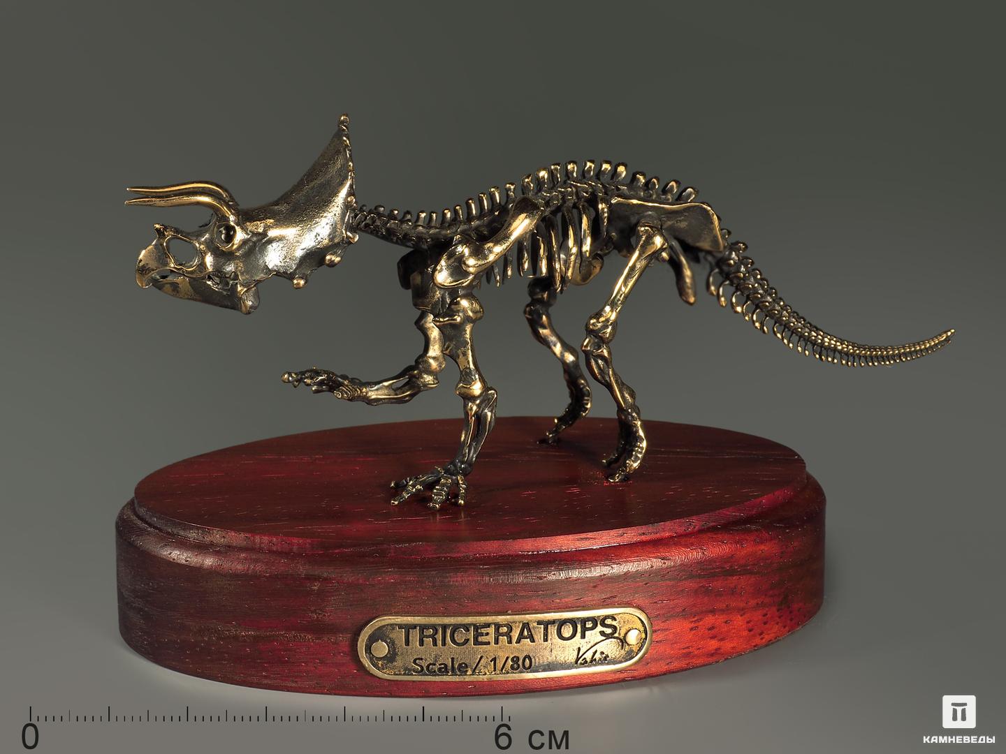 Модель скелета динозавра TRICERATOPS модель из картона адмиралтейство