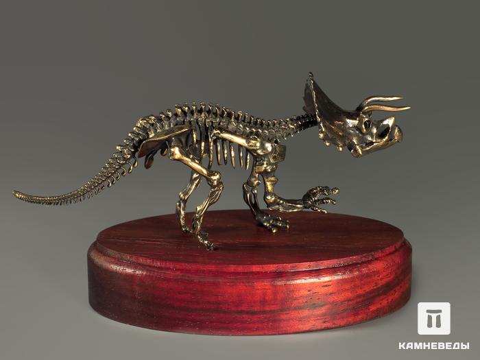 Модель скелета динозавра TRICERATOPS, 5232, фото 2
