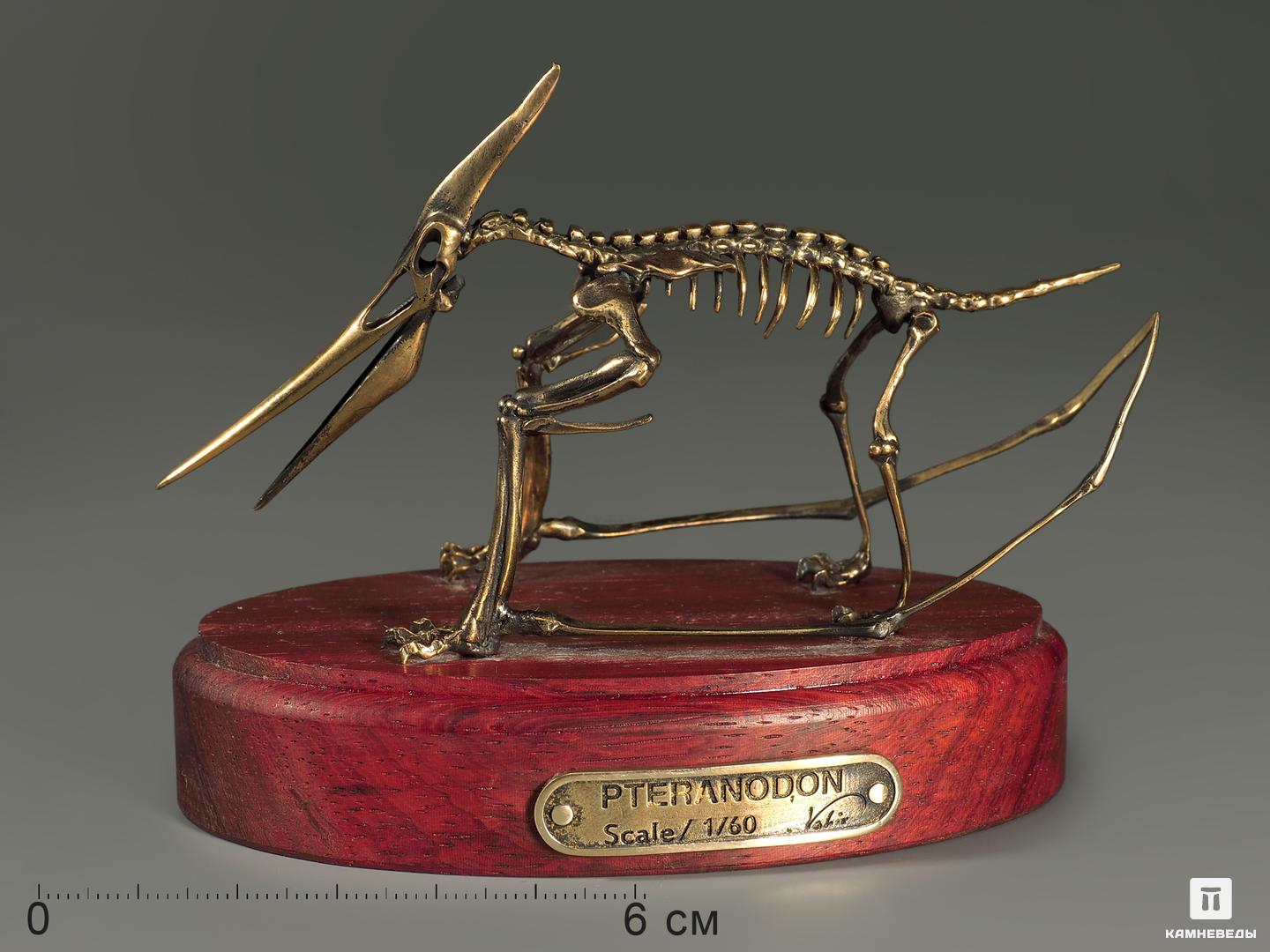 Модель скелета птерозавра PTERANODON модель скелета динозавра brachiosaurus