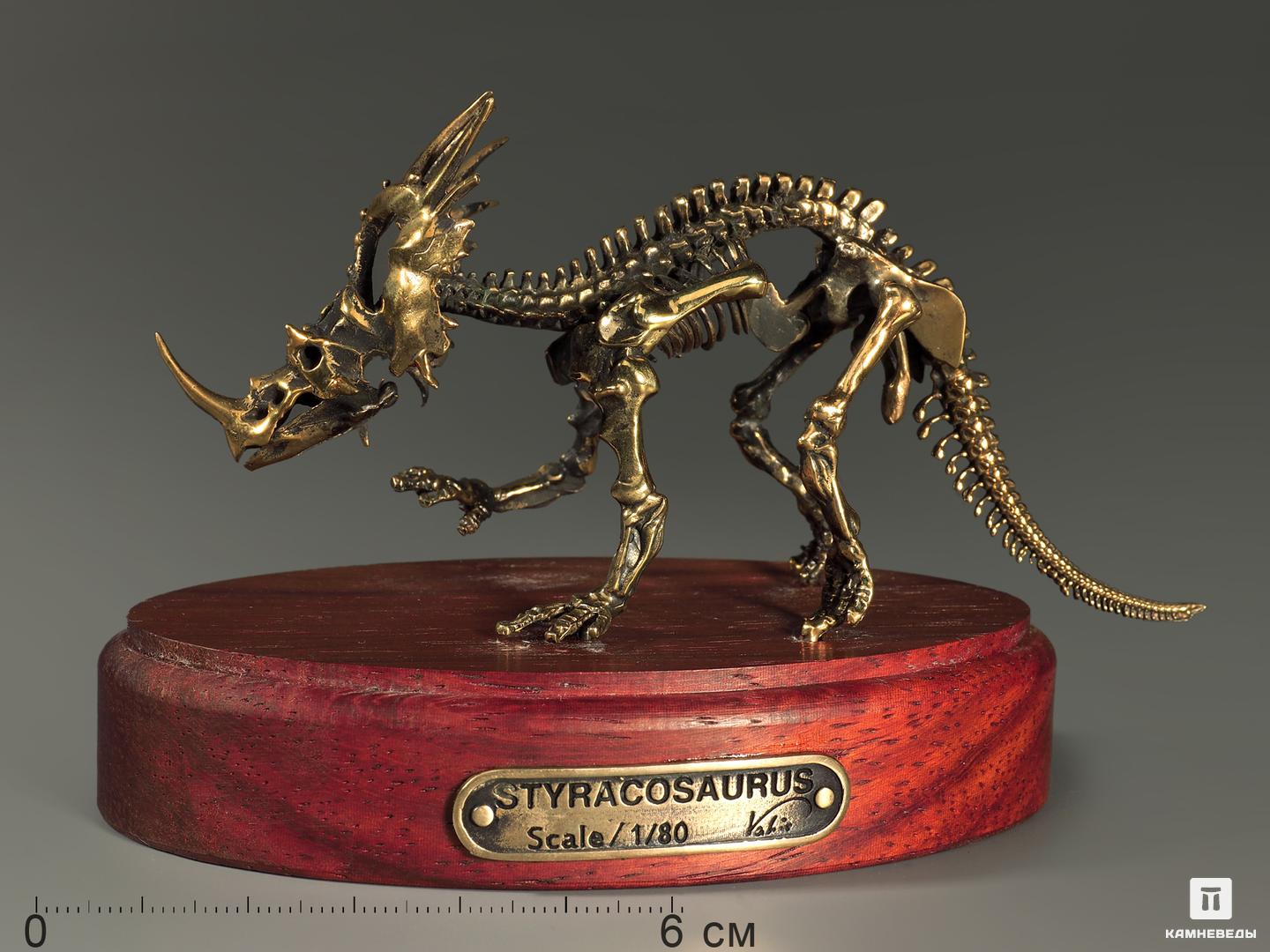 Модель скелета динозавра STYRACOSAURUS модель из картона адмиралтейство
