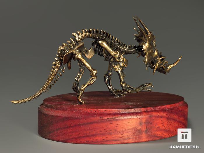 Модель скелета динозавра STYRACOSAURUS, 5231, фото 2