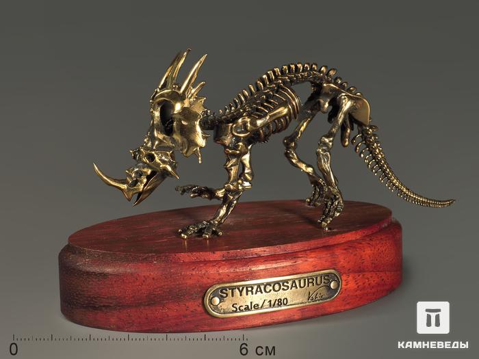 Модель скелета динозавра STYRACOSAURUS, 5231, фото 4