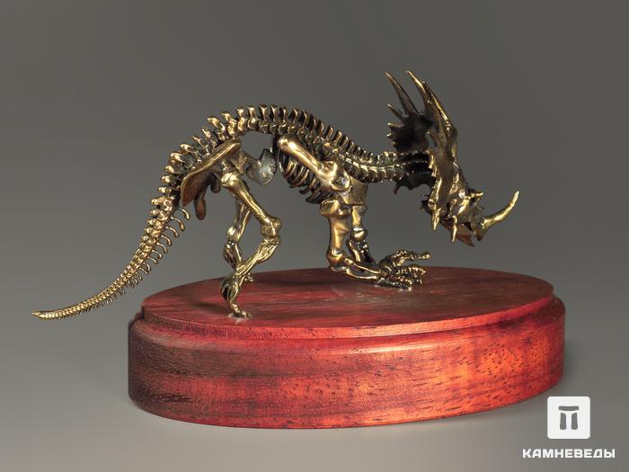 Модель скелета динозавра STYRACOSAURUS, 5231, фото 5