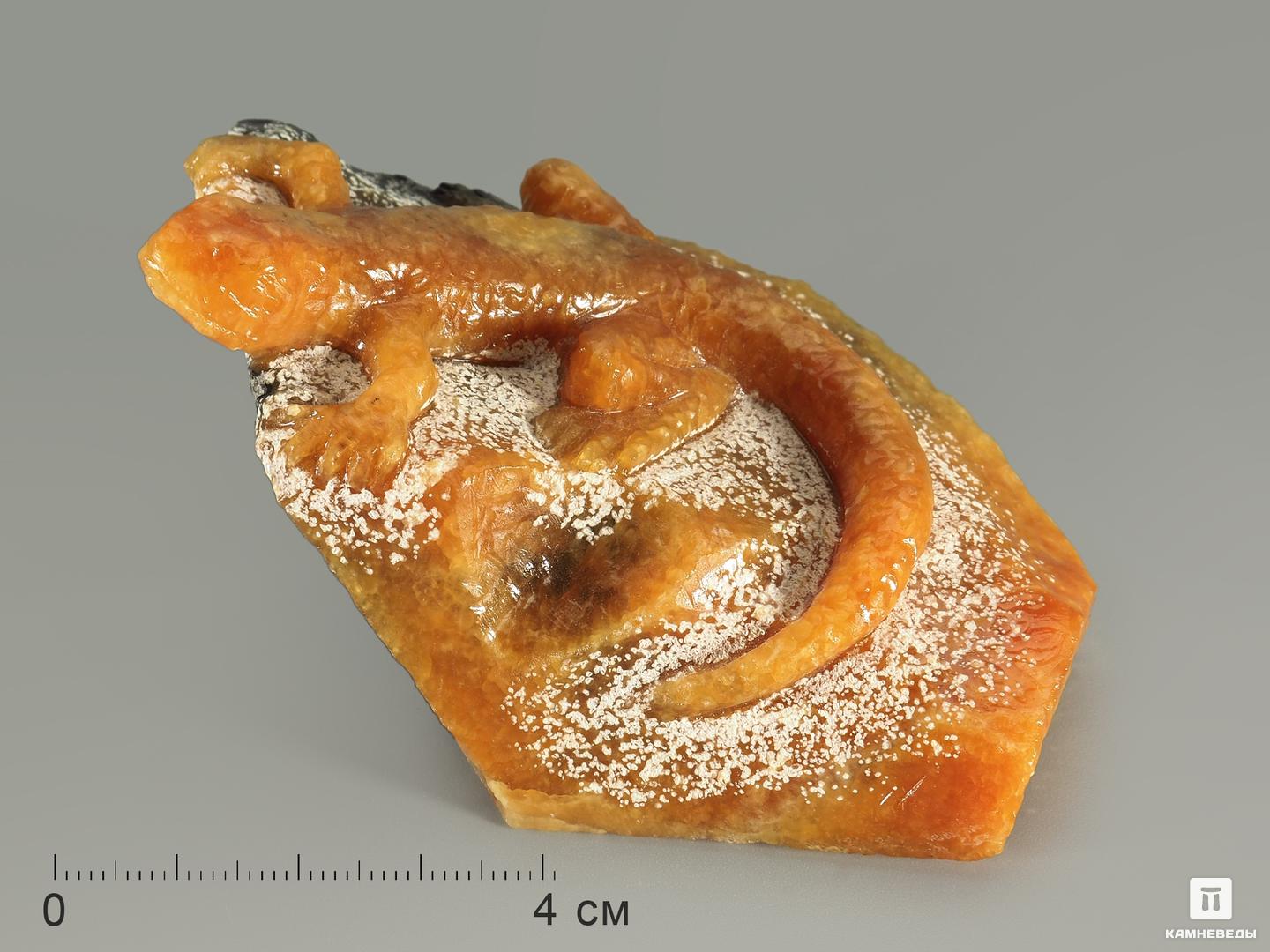 Ящерица из симбирцита, 9х6х4,5 см, 5291, фото 2