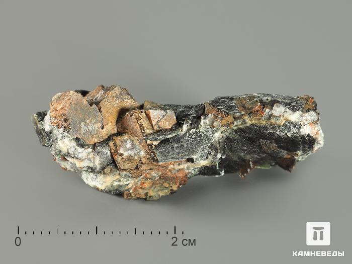 Брейнерит (железистый магнезит) в пластиковом боксе, 2-3 см, 5261, фото 1