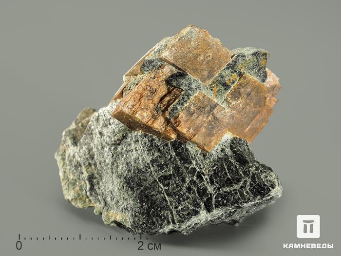 Брейнерит (железистый магнезит) в пластиковом боксе, 3-5 см, 5263, фото 1