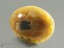 Симбирцит, полированная галька 5,9х4,7х2,1 см, 5298, фото 1