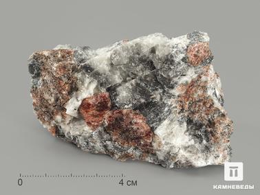 Манганоэвдиалит. Манганоэвдиалит, 8х5,4х4 см