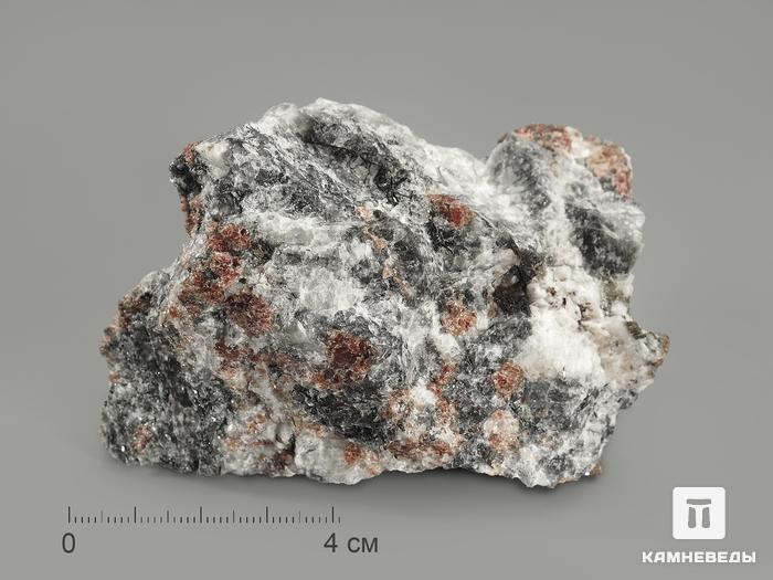 Манганоэвдиалит, 8х5,4х4 см, 5492, фото 2