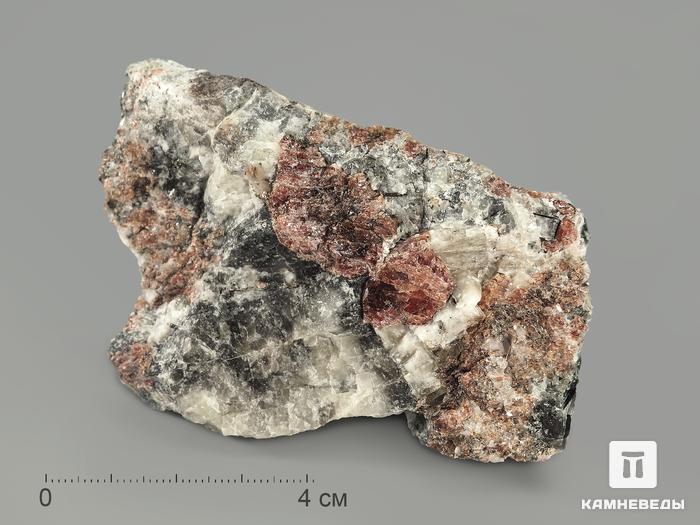 Манганоэвдиалит, 8х5,4х4 см, 5492, фото 3