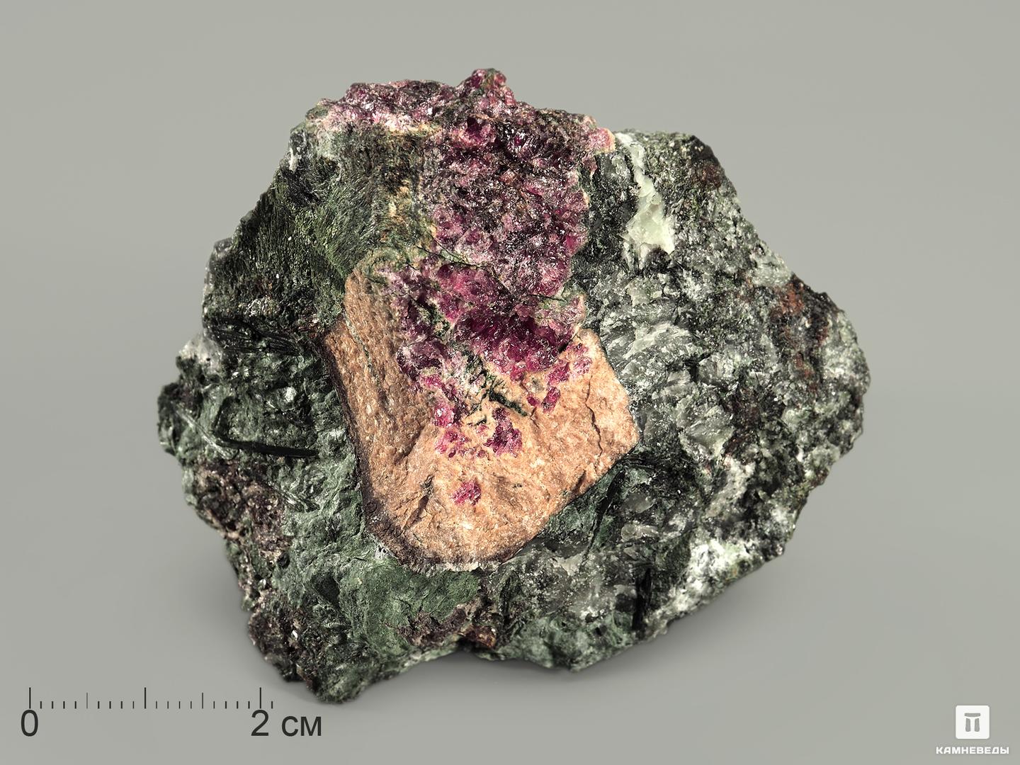Параумбит с умбитом на эвдиалите, 6х4,5х3,7 см, 5490, фото 1