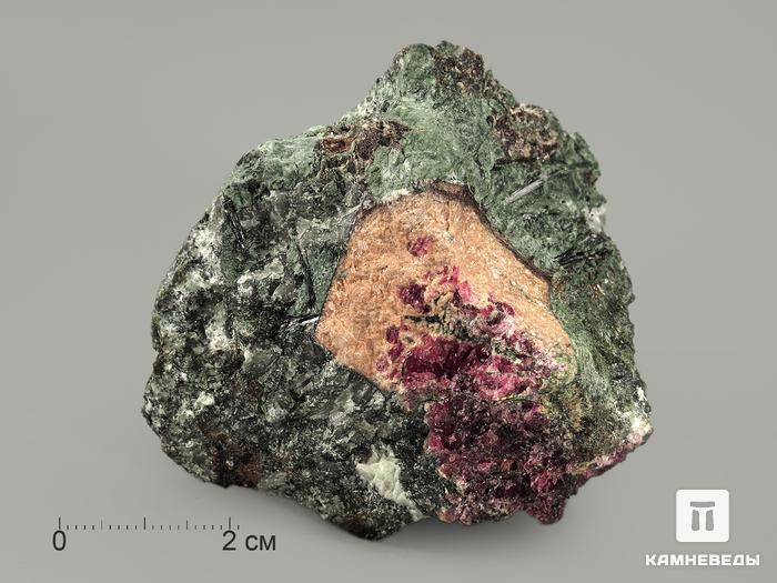 Параумбит с умбитом на эвдиалите, 6х4,5х3,7 см, 5490, фото 2