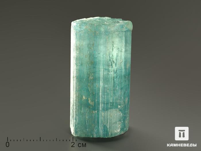 Аквамарин (голубой берилл), кристалл 3,5-4,5 см (20-25 г), 5462, фото 2