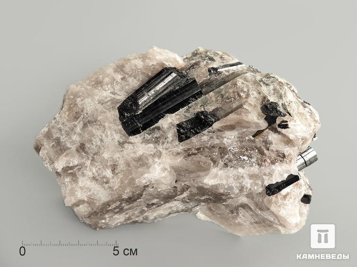 Шерл (чёрный турмалин) в кварце, 10,7х8,3х5,4 см, 5589, фото 3