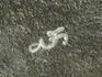 Улитка из кальцита на доломитовой подставке, 39х17х15 см, 5712, фото 6
