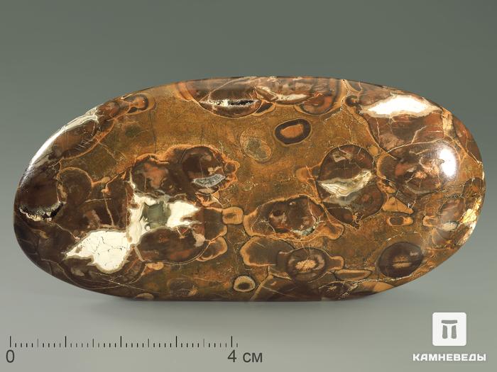 Риолит, полированная галька 9х4,3х1,5 см, 6096, фото 1