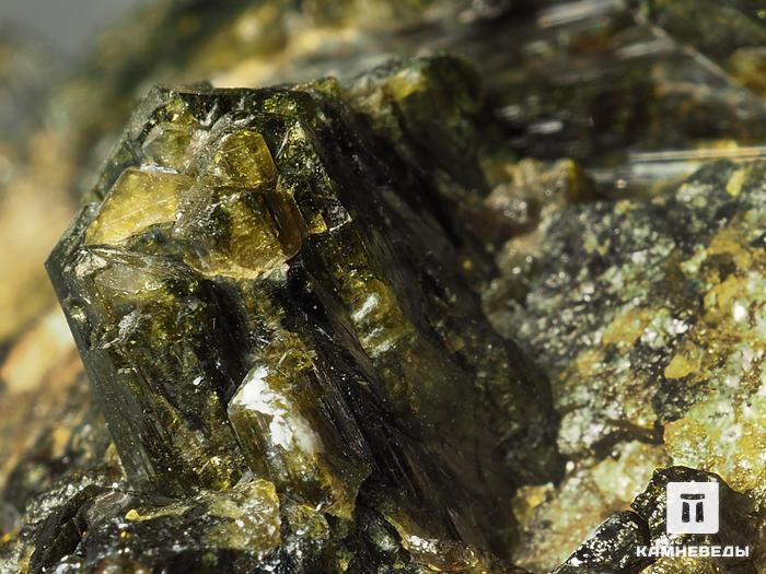 Эпидот, сросток кристаллов 8,9х7,7х6,5 см, 6780, фото 3